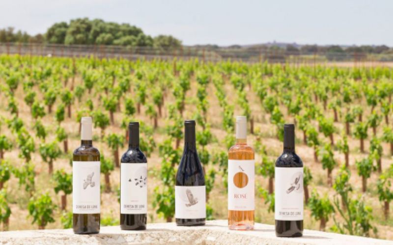 Venta de vinos en Toledo Venta de vinos en Toledo