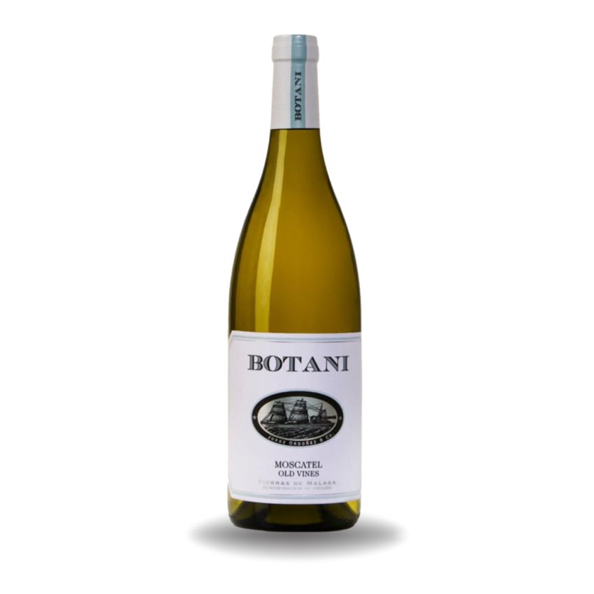 BOTANI BLANCO SONDEVIN SONSECA TOLEDO