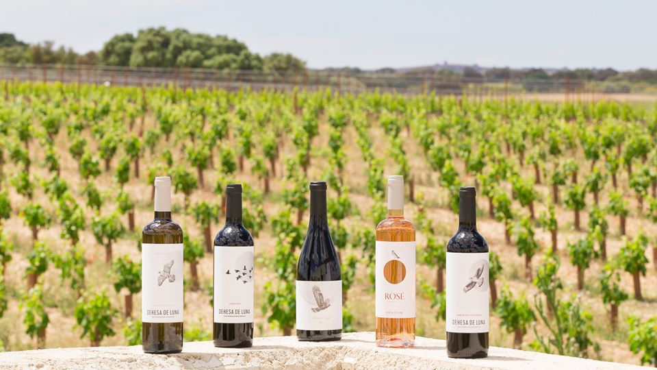 Venta de vinos en Toledo